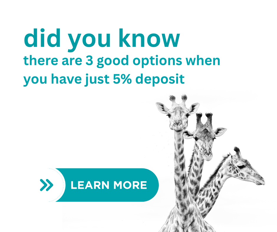 If you need to buy now that there has been the OCR cut then you might need a low deposit option